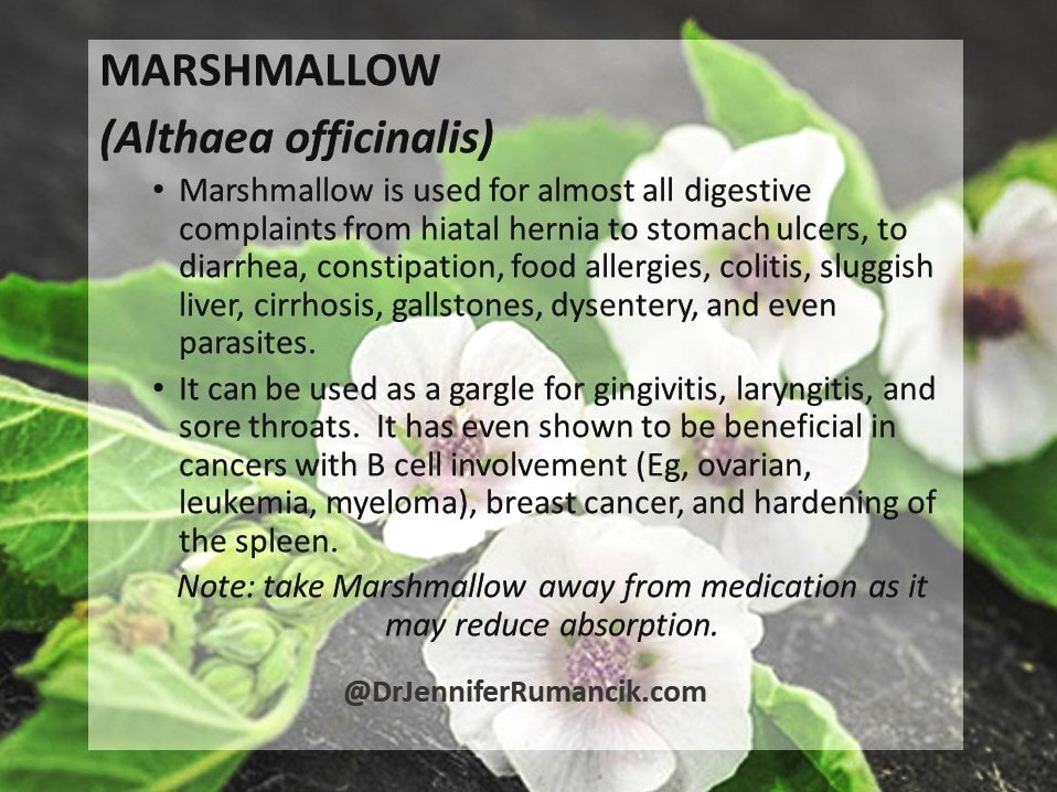 Marshmallow, Althaea officinalis root 